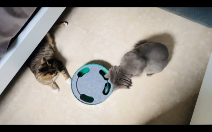 2-in-1 Upgraded Interactive Cat Toy