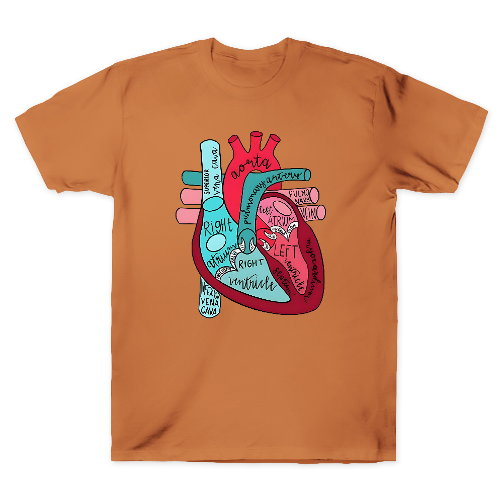 Labeled Anatomical Heart Cotton Doctor T-shirt