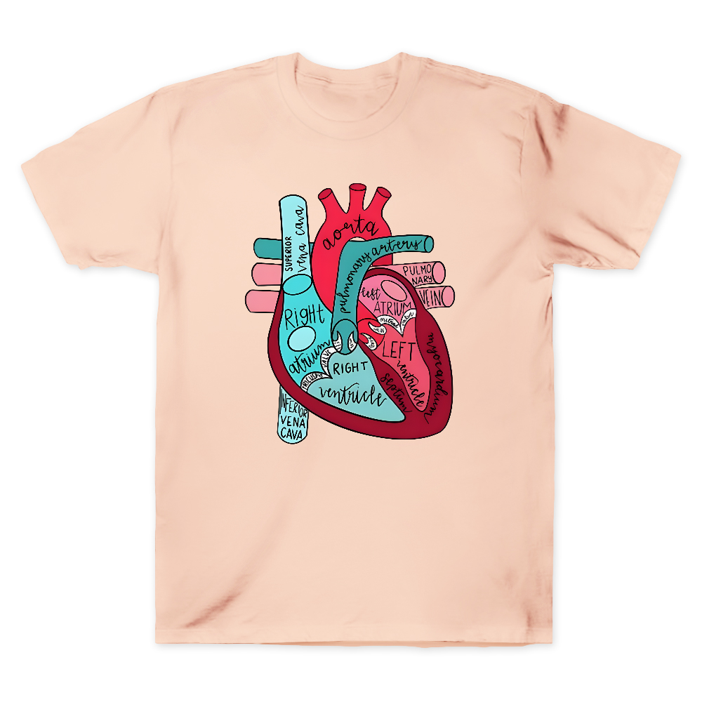 Labeled Anatomical Heart Cotton Doctor T-shirt