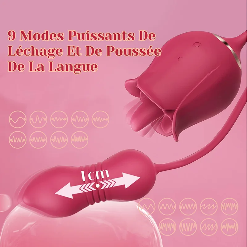 2 in 1 Vibromasseur Rose avec Stimulateur de Léchage Clitoridien