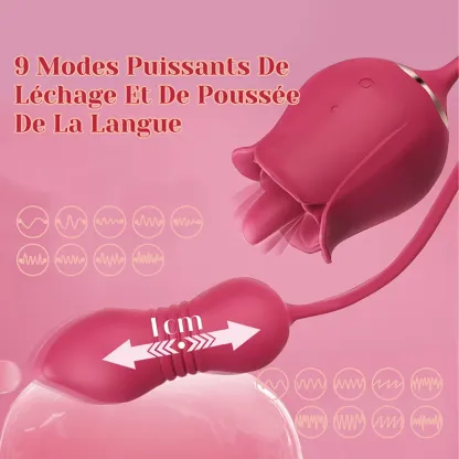 2 in 1 Vibromasseur Rose avec Stimulateur de Léchage Clitoridien