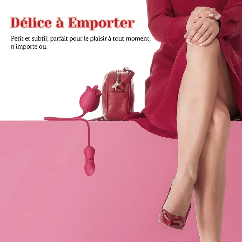 2 in 1 Vibromasseur Rose avec Stimulateur de Léchage Clitoridien