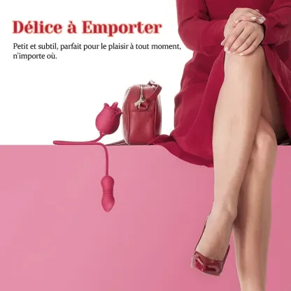 2 in 1 Vibromasseur Rose avec Stimulateur de Léchage Clitoridien