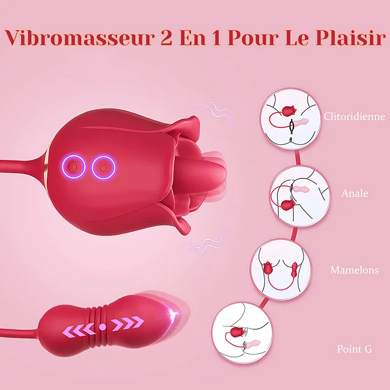 2 in 1 Vibromasseur Rose avec Stimulateur de Léchage Clitoridien