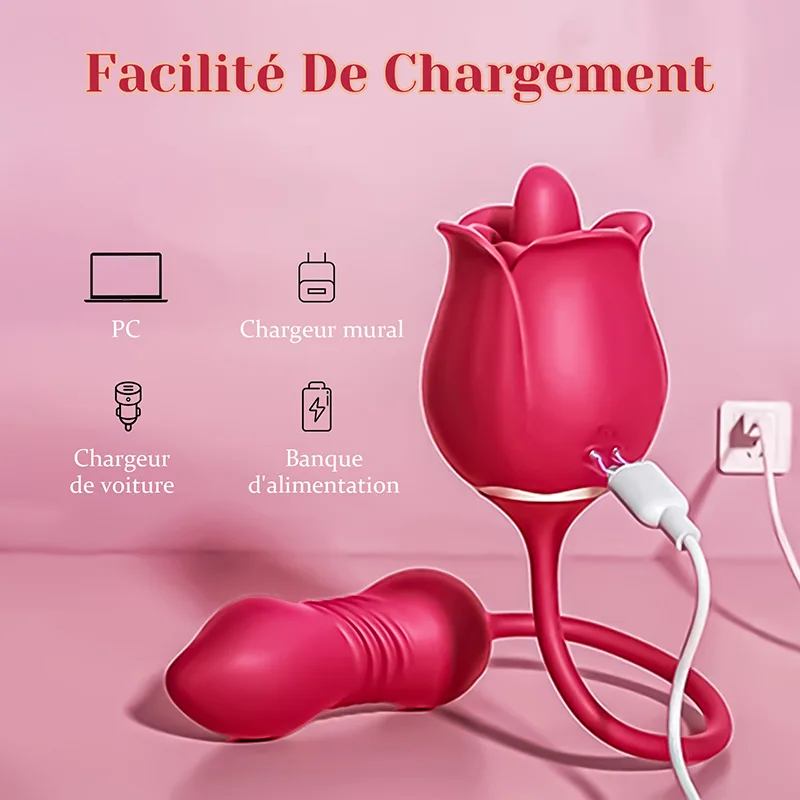 2 in 1 Vibromasseur Rose avec Stimulateur de Léchage Clitoridien