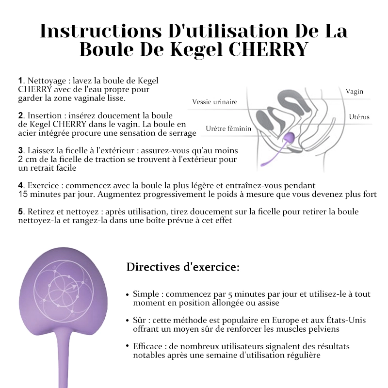 Boules De Geisha En Silicone À Poids Variable 5 Pièces