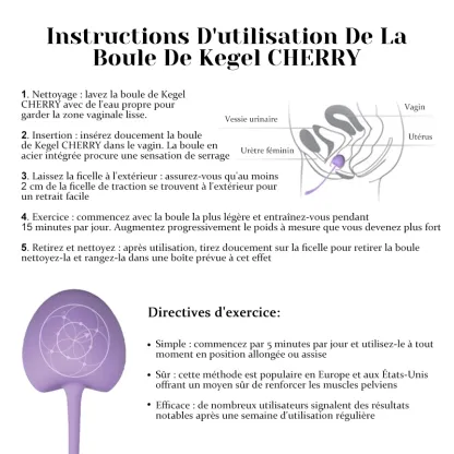 Boules De Geisha En Silicone À Poids Variable 5 Pièces