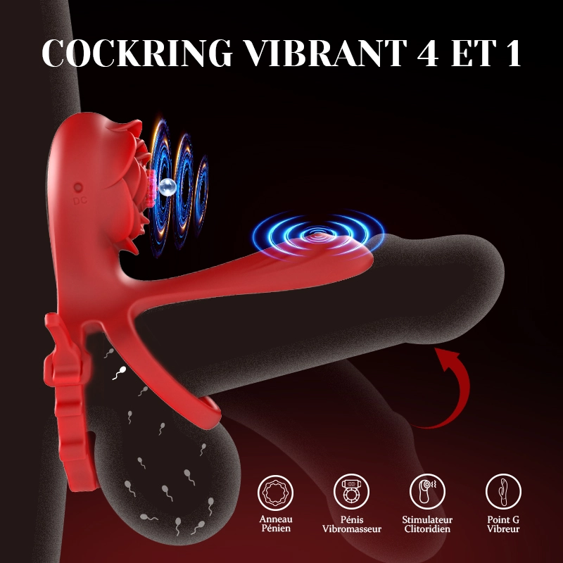 Cockring Rose à Double Moteur 10 Vibration pour Couples