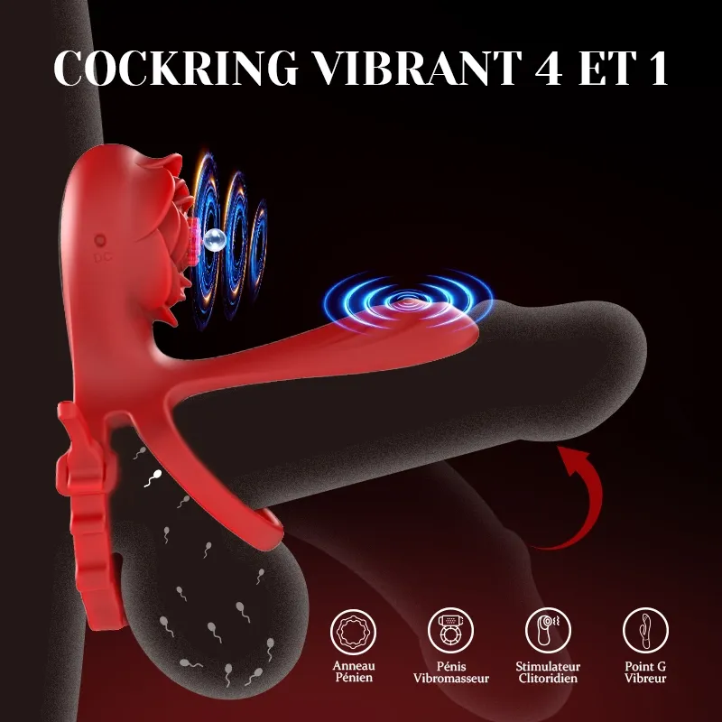 Cockring Rose à Double Moteur 10 Vibration pour Couples