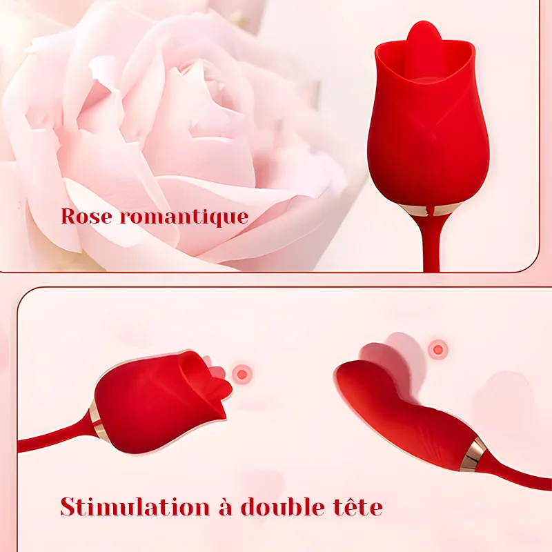 Léchage de Clitoris Multifonctionnel Rose Vibrator Avec Stimulateur Vibrant