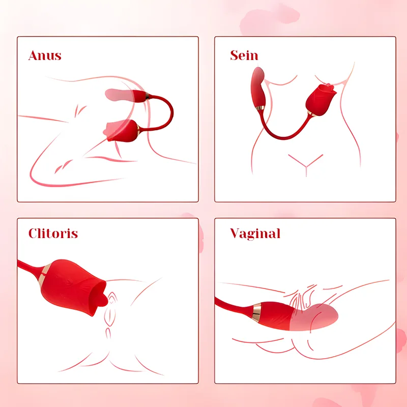 Léchage de Clitoris Multifonctionnel Rose Vibrator Avec Stimulateur Vibrant