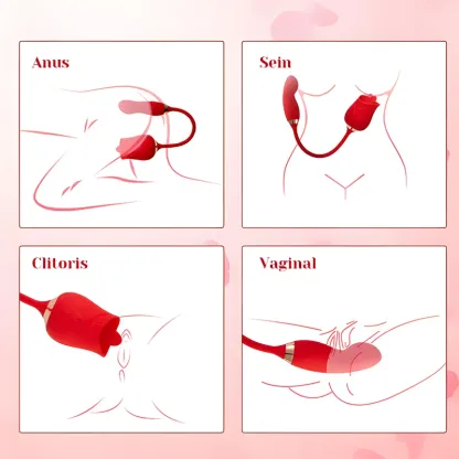 Léchage de Clitoris Multifonctionnel Rose Vibrator Avec Stimulateur Vibrant
