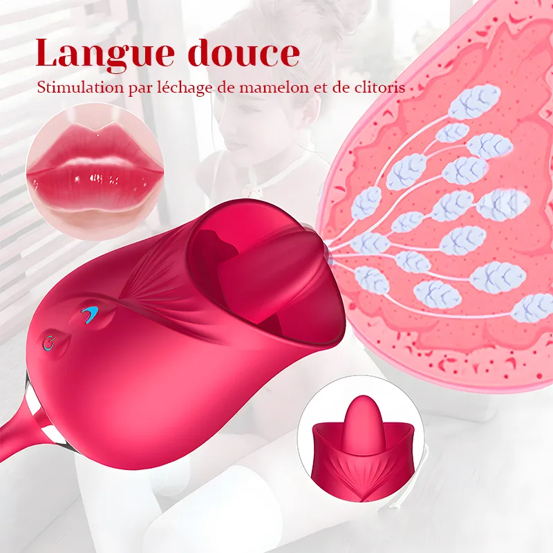 Léchage de Clitoris Multifonctionnel Rose Vibrator Avec Stimulateur Vibrant
