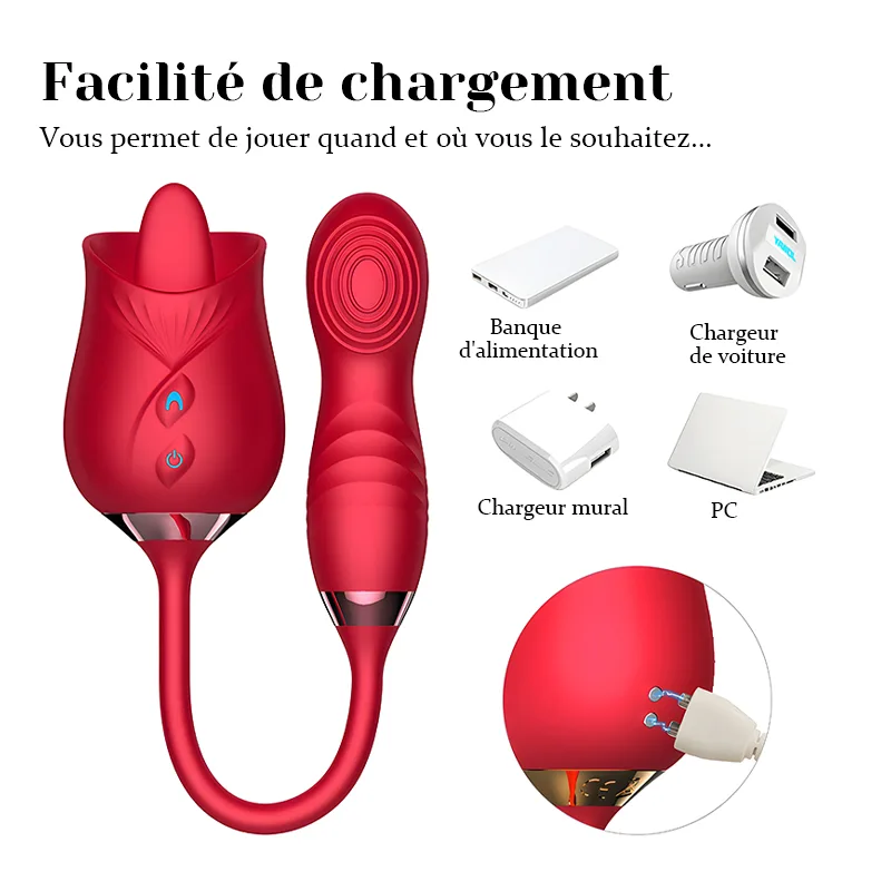 Léchage de Clitoris Multifonctionnel Rose Vibrator Avec Stimulateur Vibrant