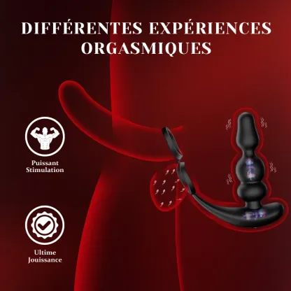Masseur Prostatique avec Perles Portables, Rotation, Vibration et Télécommande.