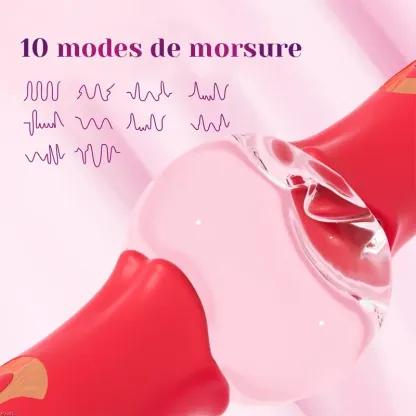 Rabbit Vibrator 3 En 1 Avec 10 Modes De Vibration Et De Mordillage