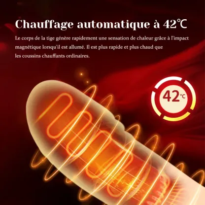 Stimulateur Clitoridien 2 En 1 Avec Poussée Aspiration Vibration Et Chauffage