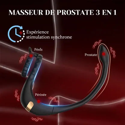 Stimulateur Prostatique 3 en 1 : Pénis, Périnée et Sexe Anal