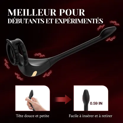 Stimulateur Prostatique 3 en 1 : Pénis, Périnée et Sexe Anal