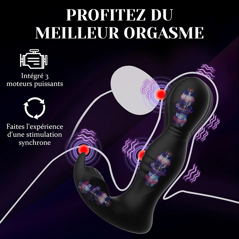 Stimulateur Prostatique Vibrant à Bascule et Léchage avec Application et Télécommande