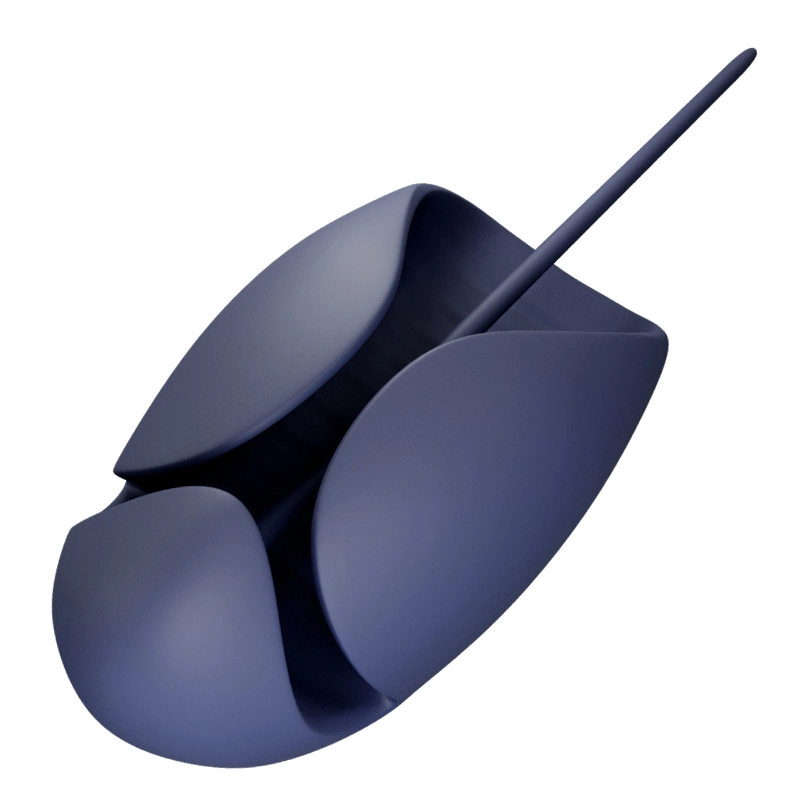 Stimulateur de Glande Unique 10 Vibrations avec Design Sonde Urétrale