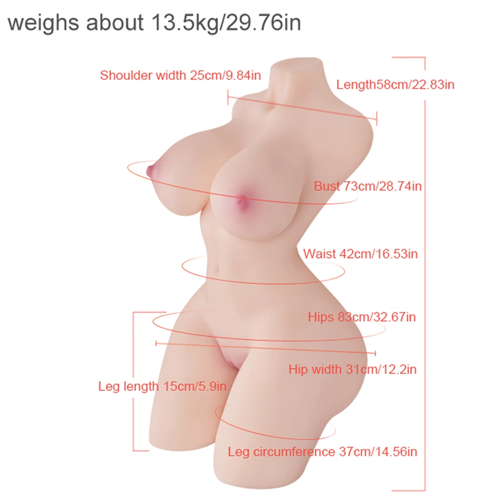 Zenobia - Torse Sexuel de 29,76LB pour Hommes