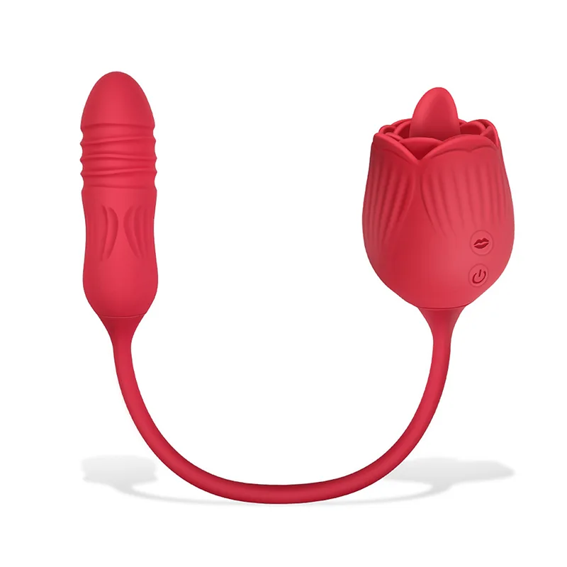 Vibromasseur Rose 2 en 1 Avec 10 Modes de Léchage Et de Poussée