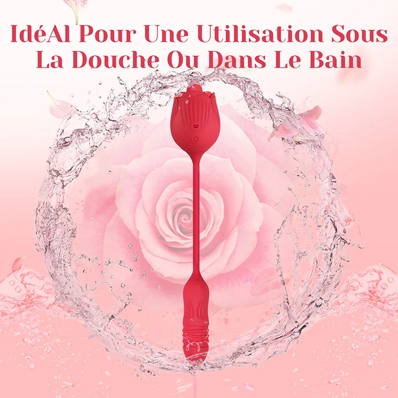 Vibromasseur Rose 2 en 1 Avec 10 Modes de Léchage Et de Poussée