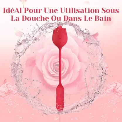 Vibromasseur Rose 2 en 1 Avec 10 Modes de Léchage Et de Poussée
