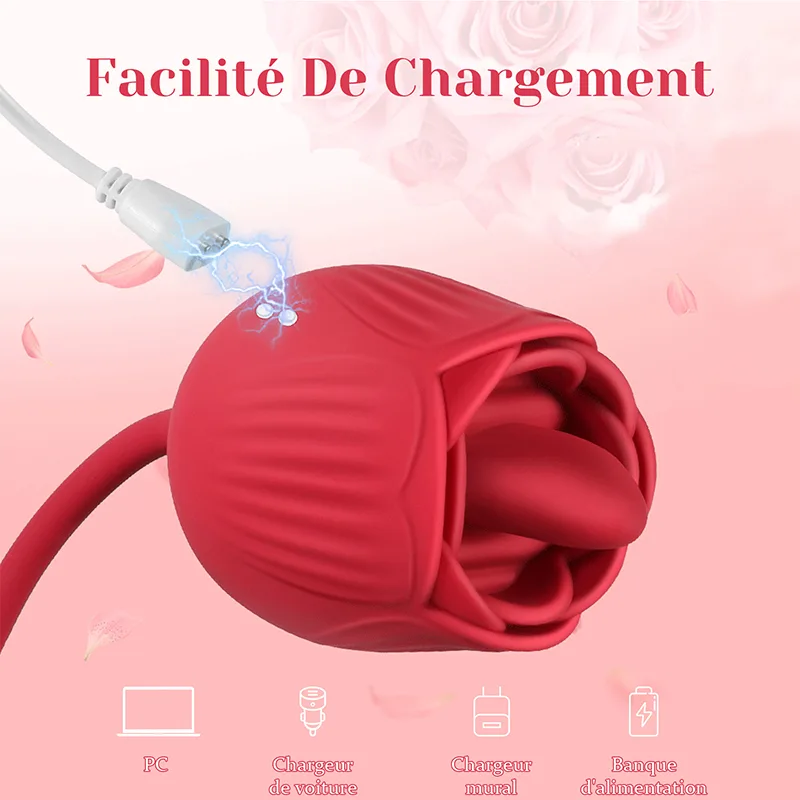 Vibromasseur Rose 2 en 1 Avec 10 Modes de Léchage Et de Poussée