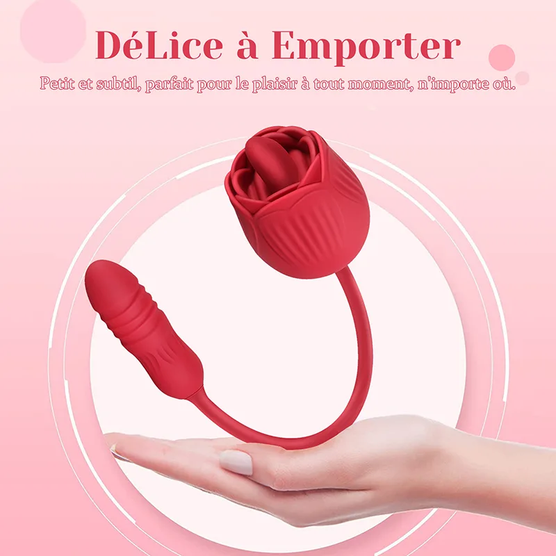 Vibromasseur Rose 2 en 1 Avec 10 Modes de Léchage Et de Poussée