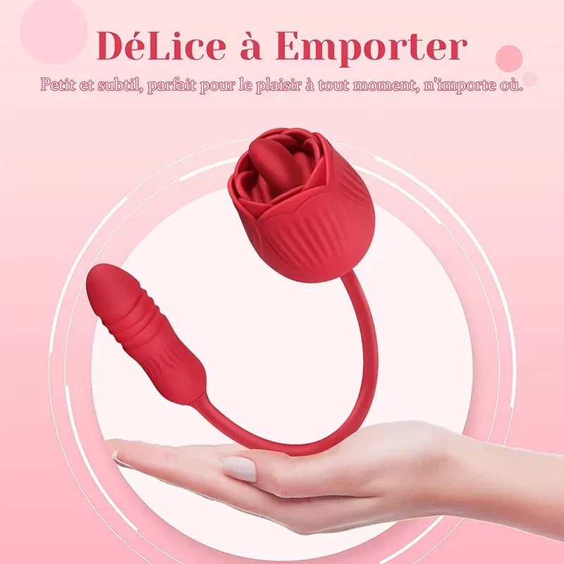Vibromasseur Rose 2 en 1 Avec 10 Modes de Léchage Et de Poussée