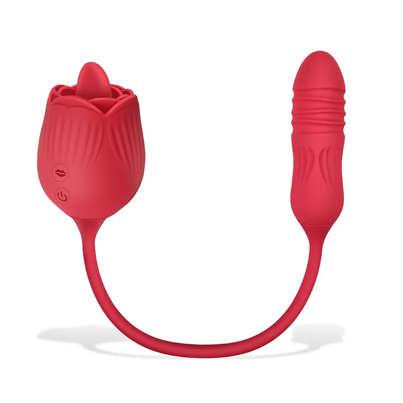 Vibromasseur Rose 2 en 1 Avec 10 Modes de Léchage Et de Poussée