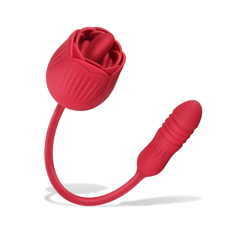 Vibromasseur Rose 2 en 1 Avec 10 Modes de Léchage Et de Poussée