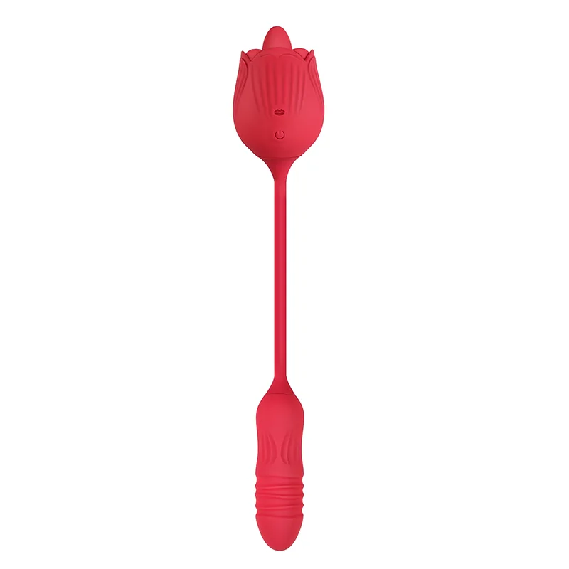 Vibromasseur Rose 2 en 1 Avec 10 Modes de Léchage Et de Poussée