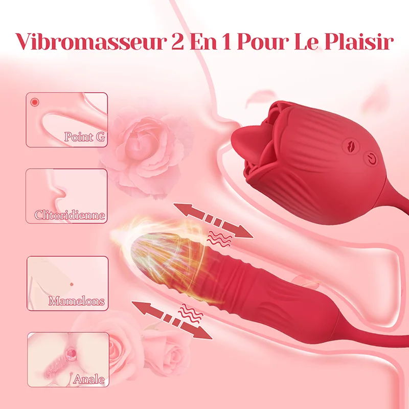 Vibromasseur Rose 2 en 1 Avec 10 Modes de Léchage Et de Poussée