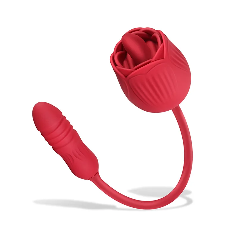 Vibromasseur Rose 2 en 1 Avec 10 Modes de Léchage Et de Poussée