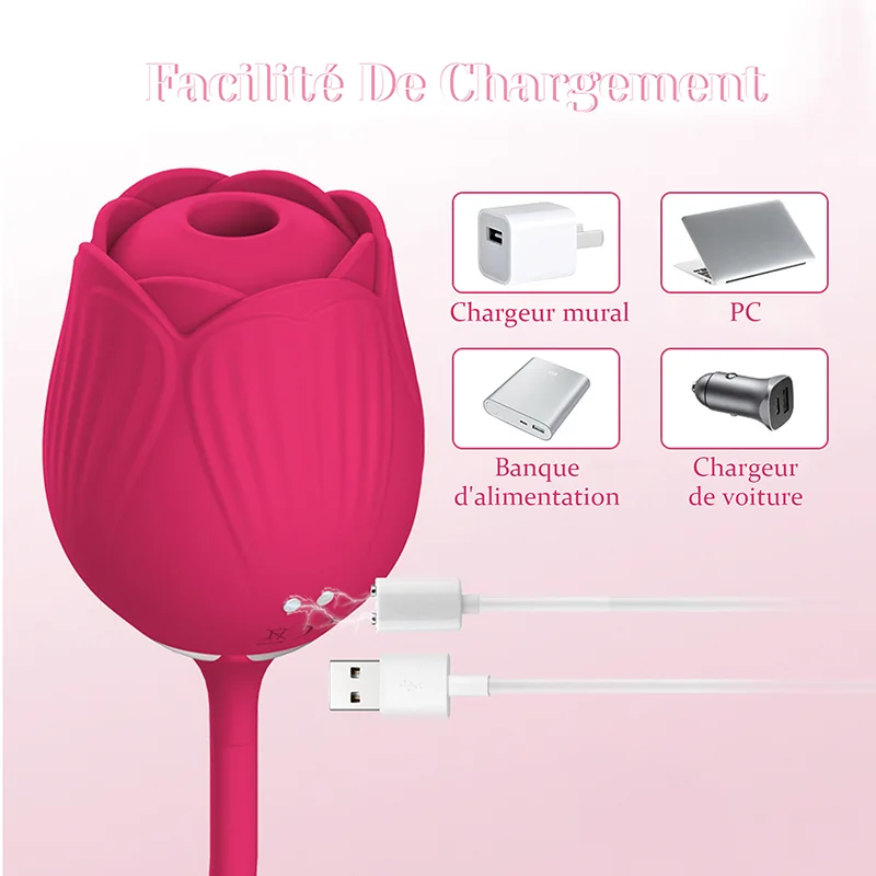Vibromasseur Rose 2 en 1 Floral Fantasy Aspiration Clitoridienne