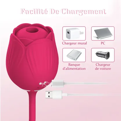 Vibromasseur Rose 2 en 1 Floral Fantasy Aspiration Clitoridienne