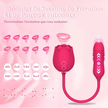 Vibromasseur Rose 2 en 1 Floral Fantasy Aspiration Clitoridienne