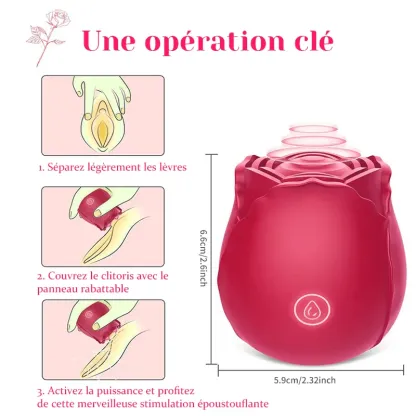 Vibromasseur Rose Classique Avec 10 Modes de Vibration de Fréquence