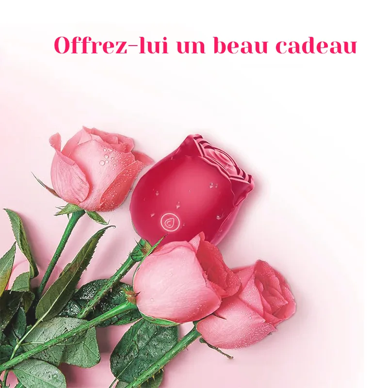 Vibromasseur Rose Classique Avec 10 Modes de Vibration de Fréquence