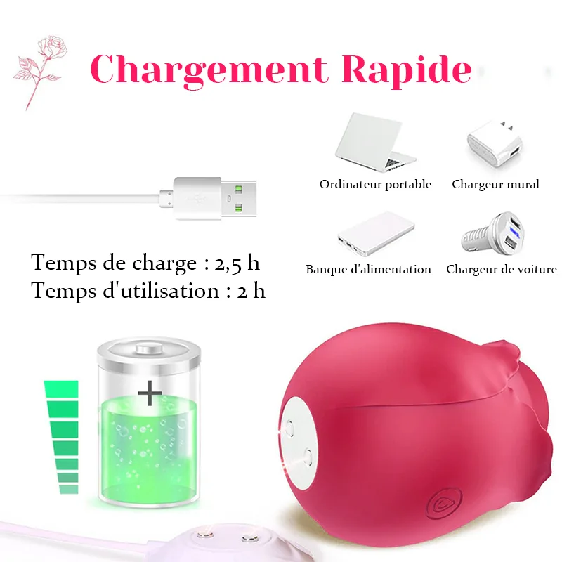 Vibromasseur Rose Classique Avec 10 Modes de Vibration de Fréquence