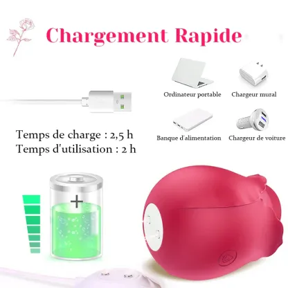 Vibromasseur Rose Classique Avec 10 Modes de Vibration de Fréquence
