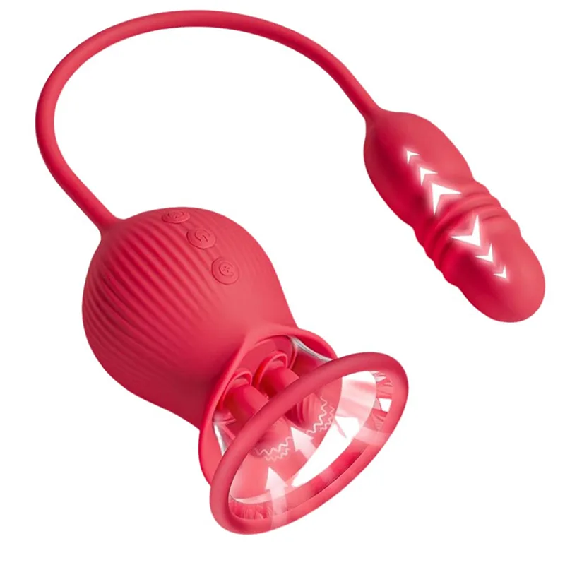Vibromasseur Rose Suceur De Clitoris 2 En 1 Avec Cône Télescopique