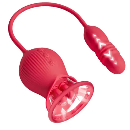 Vibromasseur Rose Suceur De Clitoris 2 En 1 Avec Cône Télescopique
