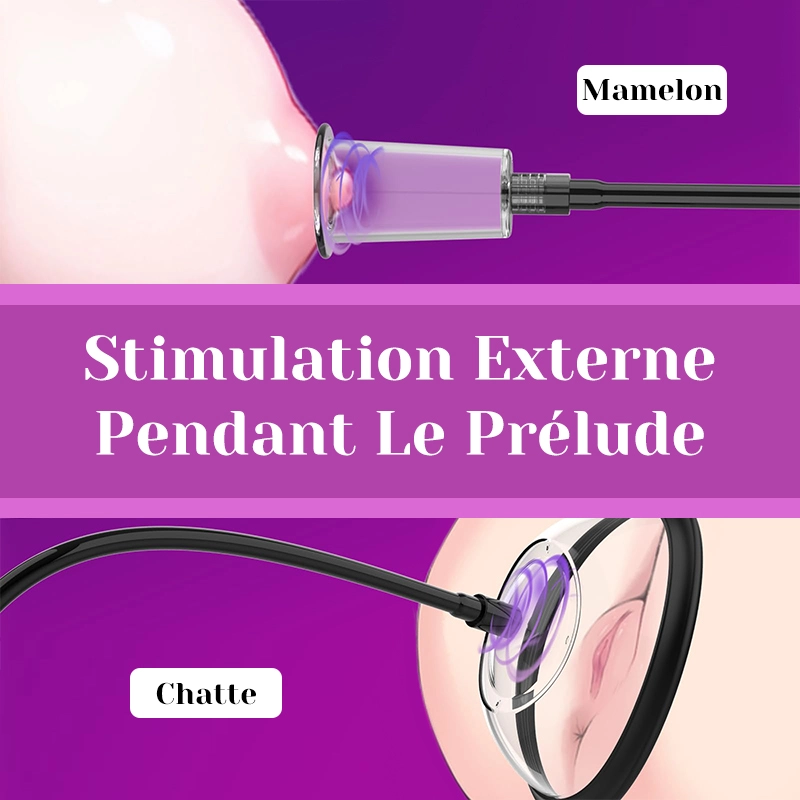 Pompe À Seins Et Pompe Vaginale Jouets Sexuels Pour Femmes