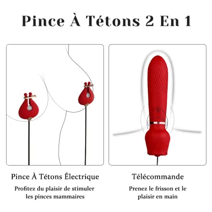 Vibromasseur 2-en-1 en forme de rose et pinces à tétons – 10 modes de vibration puissants pour la stimulation du point G et des tétons