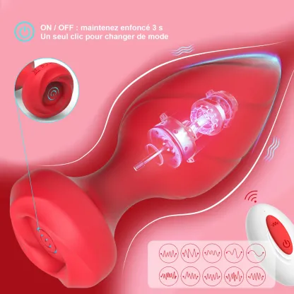 Ensemble De 4 Plug Anal Vibrant