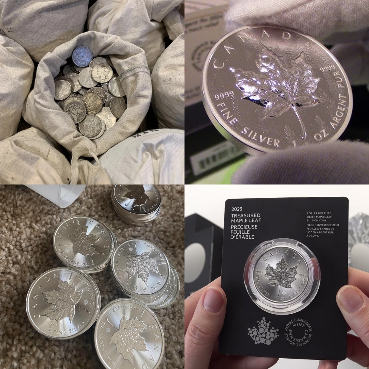 🍁 Final Edition! 💰 65% OFF Canadian Maple Leaf Coin